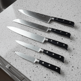 Full tang 5pc German steel Kitchen knife set
