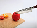 SiliSlick Damascus Stainless Steel Hammered Surface knife | SiliSlick®