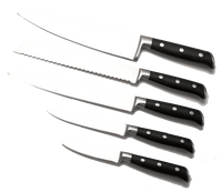  SiliSlick Kitchen Knife Set Professional, Titanium Coated  Stainless Steel Blades, Dishwasher Safe, Safety Sheaths, 5 Knives: Home &  Kitchen